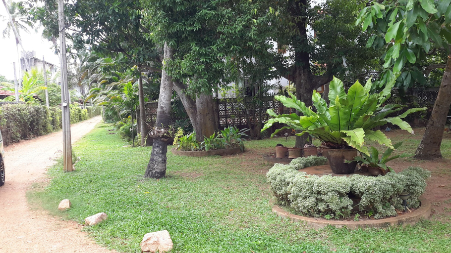 Others 4, Arangala Bungalow, Naula