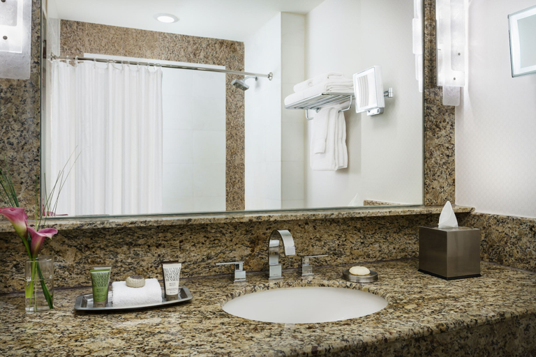 Bathroom 4, The Lotte New York Palace, New York