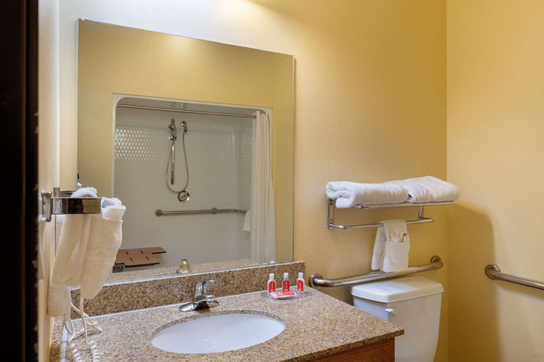 Bathroom 3, Econo Lodge Inn & Suites Bridgeport, Wise