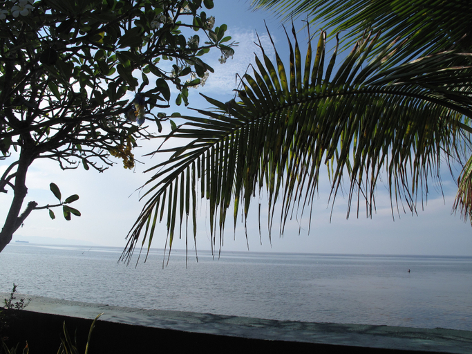 Others 5, Bamboo Paradise Beach Resort, Argao