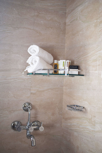 Bathroom, Hotel FloraInn, Gurgaon