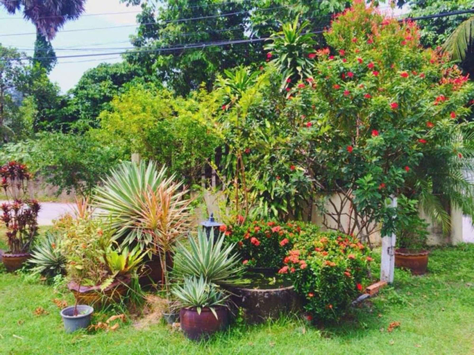 Others 5, Ron's Bungalow, Phuket Island