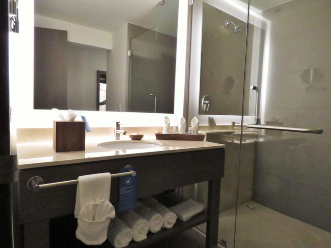 Bathroom 5, Hampton Inn by Hilton Celaya, Apaseo el Grande