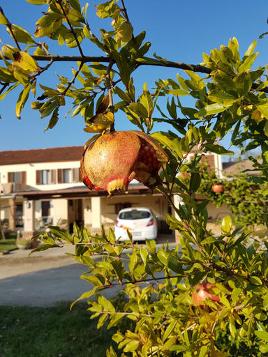 Exterior & Views 2, B&B La Crota, Asti