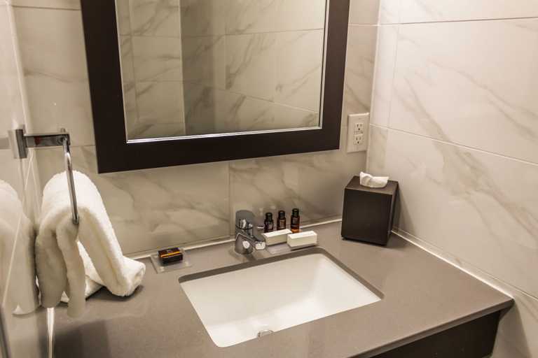 Bathroom 4, Ottawa Embassy Hotel, Ottawa