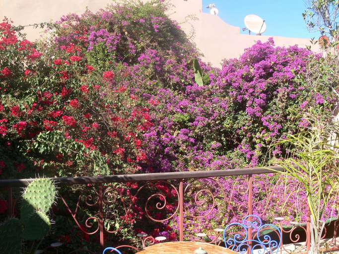 Others 5, Hôtel Riad le Lieu, Tiznit