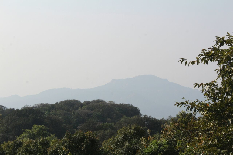 Others 4, Ashok villa, Satara
