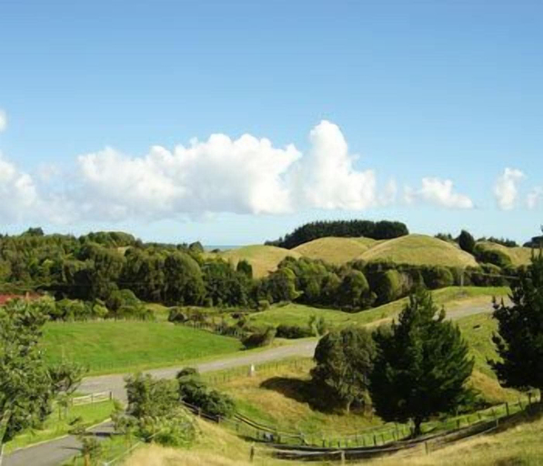 Others 5, Vista del Sol, Kapiti Coast