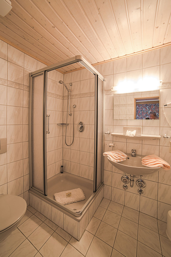 Bathroom 5, Hotel Freihof, Ortenaukreis