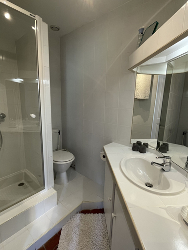 Bathroom 5, Château de Sury, Nièvre