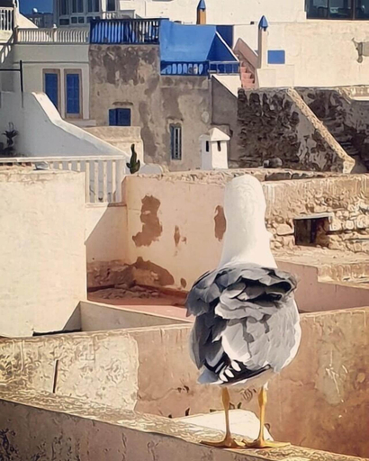 Exterior & Views 2, Riad de la mer, Essaouira