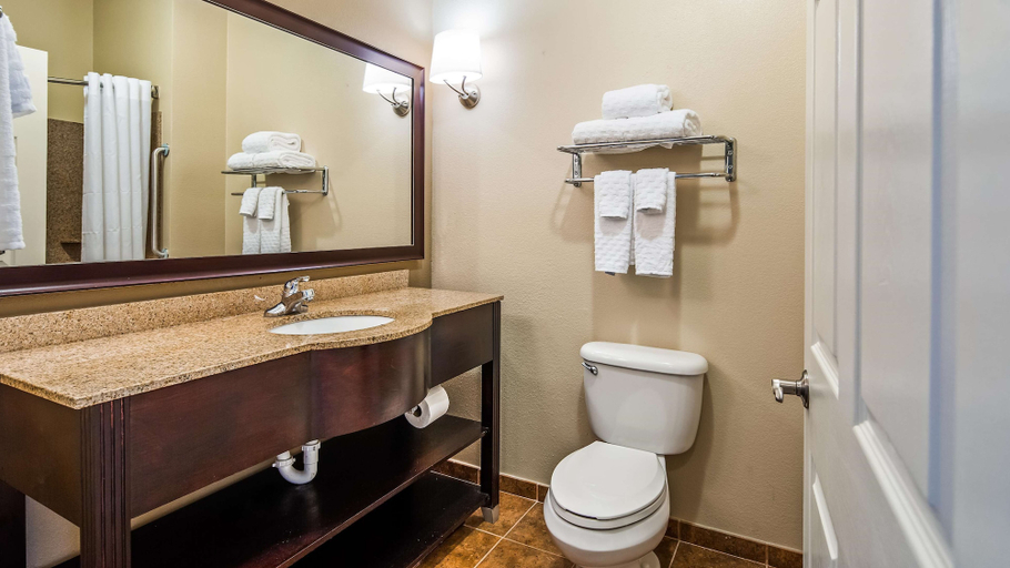 Bathroom 4, Best Western Dothan Inn & Suites, Houston