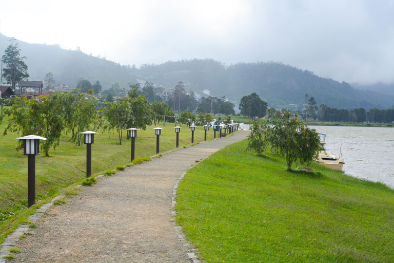 Others 5, The Tea Garden, Nuwara Eliya