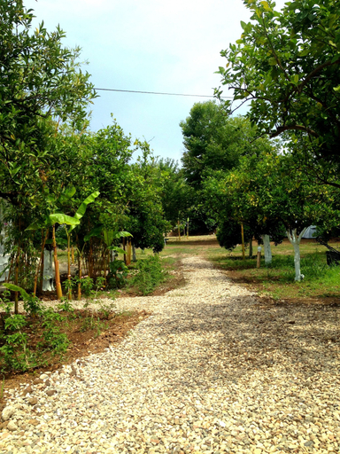 Others 5, Bellerofon Camping, Kemer