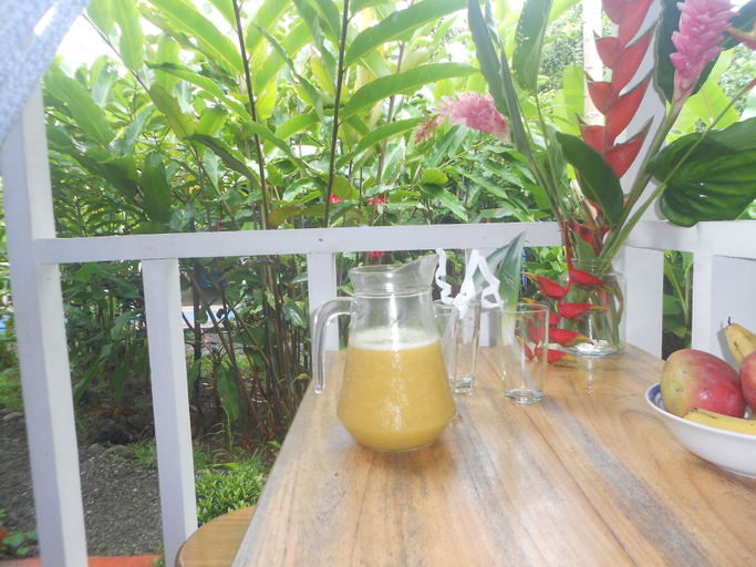 Food & Drinks 5, Casitas Mar y Luz, Talamanca