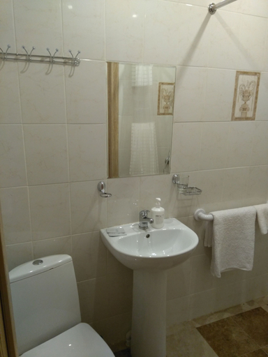 Bathroom 3, Mini-hotel Mercury, Northern