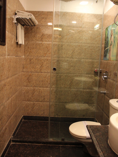 Bathroom 4, Karan Holidays, Delhi