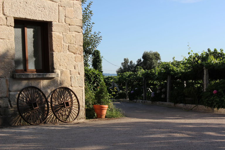 Exterior & Views 2, Os Areeiros, Pontevedra