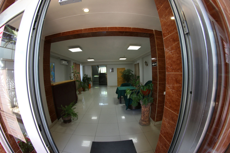 Public Area, Hostel Czech House, Sochi gorsovet