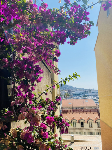 Exterior & Views 2, Radisson Hotel Cannes Seaside, Alpes-Maritimes