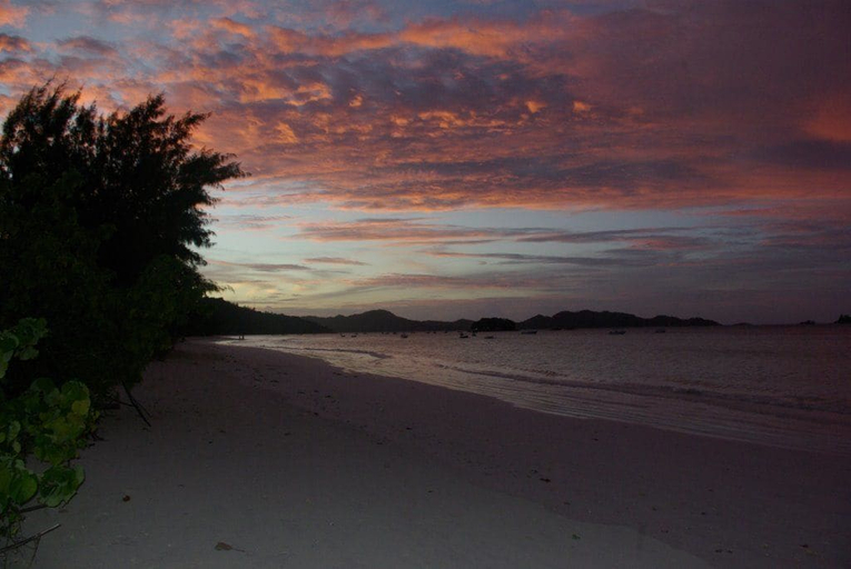 Others 5, Heliconia Grove