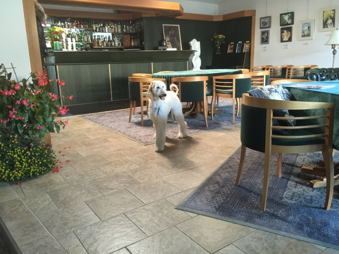 Food & Drinks 5, Antik Hotel & Galerie Sofia, Svitavy