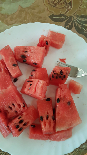 Food & Drinks, Skyview Holiday Home, Chandigarh