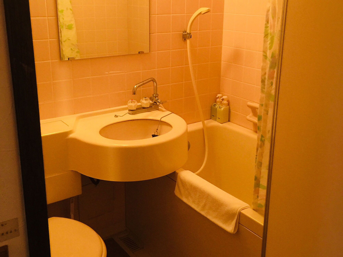 Bathroom 3, Hotel Shirakabako Sakaeen, Nagawa