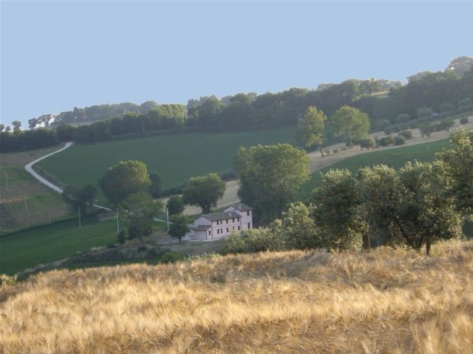 Others 5, La Quercia del Saggio, Ancona