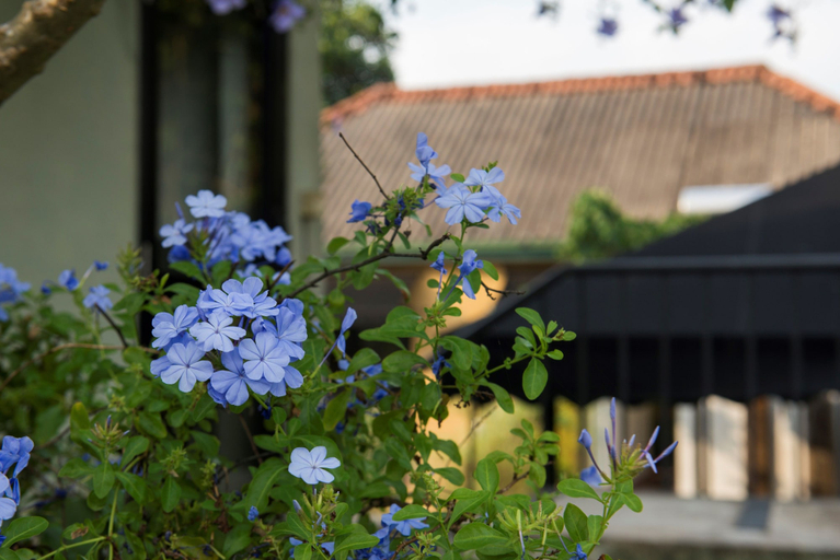 Exterior & Views 2, Villa Escondite, Maharagama