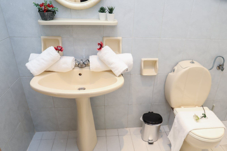 Bathroom 5, Chrissomallis Apartments, Thessaly
