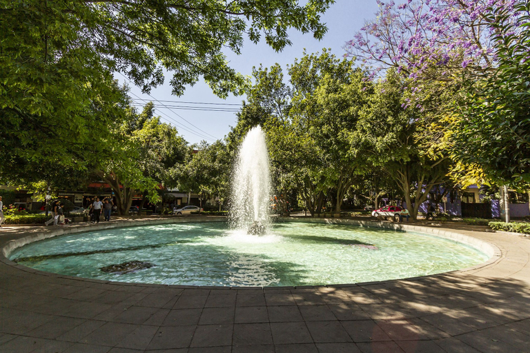 Sport & Beauty, Condesa Boutique PH by LiveMexicoCity, Mexico City