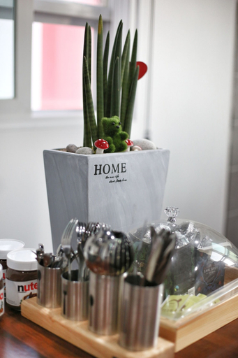 Food & Drinks, Stayan - Hostel, Haeundae