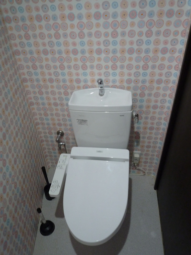 Bathroom 3, Wasaike, Osaka
