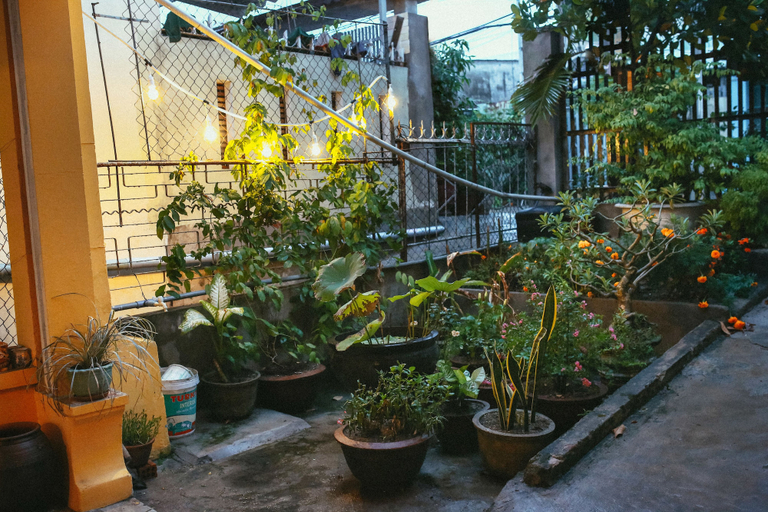 Others 5, Herb's House, Da Nang