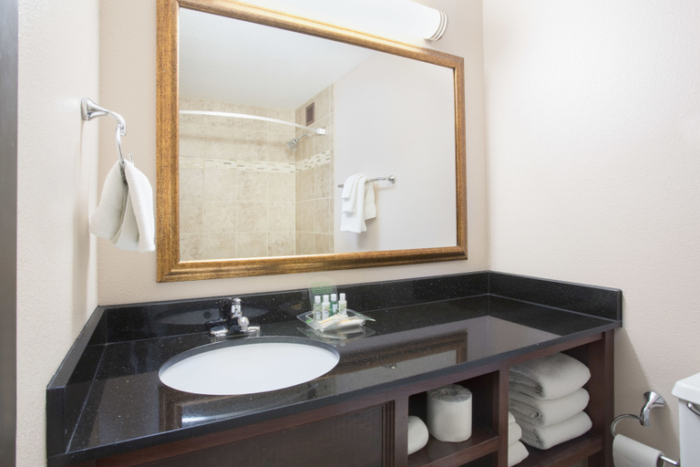 Bathroom 4, Clarion Hotel Convention Center, Ward