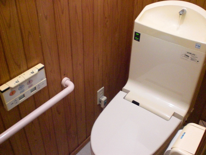 Bathroom 4, Numazu Ikkyuuan, Numazu