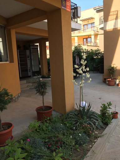 Exterior & Views 2, Vilele Liliana Mamaia Nord, Navodari
