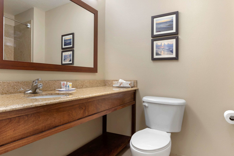 Bathroom 5, Comfort Inn & Suites Port Arthur-Port Neches, Jefferson