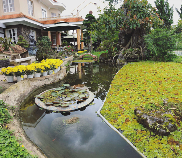 Exterior & Views 2, An Nhien Villa, Đà Lạt