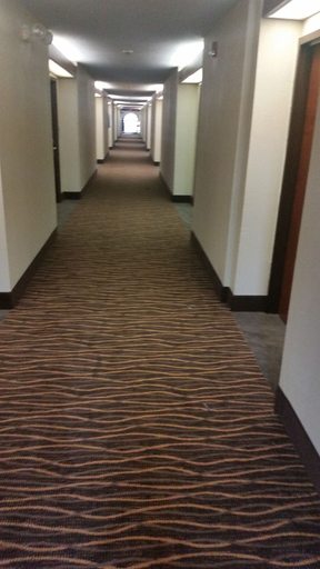 Others 5, Quality Inn & Suites Thomasville-High Point, Davidson