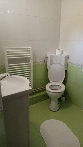 Bathroom 3, Casa Adina, Sinaia