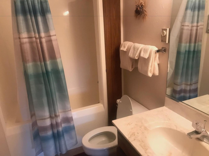 Bathroom, Gold Creek in Angel Fire, Colfax