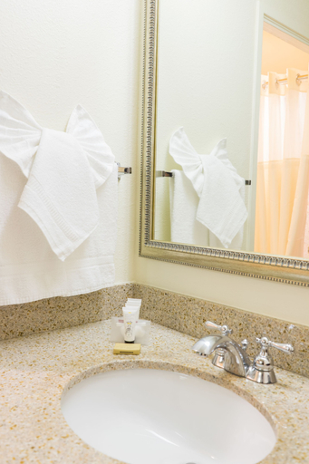 Bathroom 4, Oakland Airport Executive Hotel, Alameda
