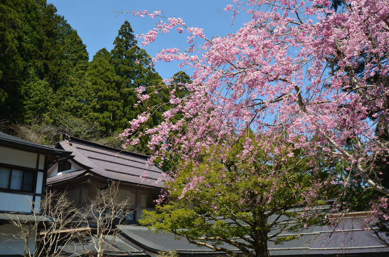 Exterior & Views 2, Koyasan Syukubou Fudouin, Kōya