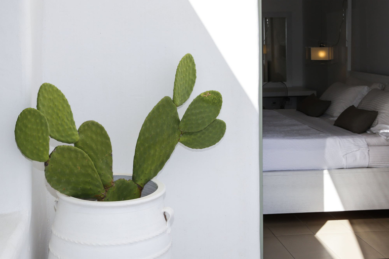 Bedroom 4, Pylaia Boutique Hotel & Spa, South Aegean