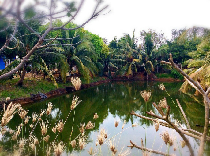 Others 5, The Zoosk Resort, Muang Suphanburi