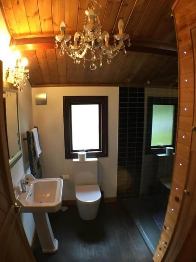 Bathroom, Snowdrop 10 Hot Tub, Carmarthenshire