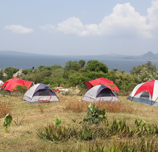 Others 4, Mulberry Glamp, Suba