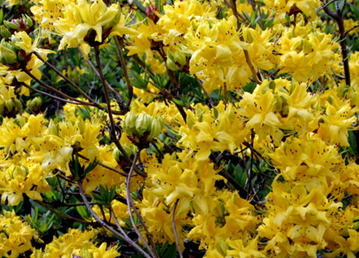Others 4, Kirklands Bed & Breakfast, Scottish Borders